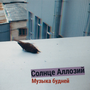 Сонце Алозій — Музыка будней