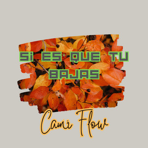 SI ES QUE TU BAJAS by Cami Flow