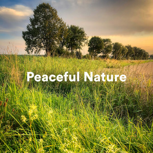 Peaceful Nature album
