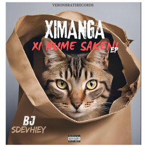 Bj & Sdevhiey - GONE BOY (feat. Navykidd)
