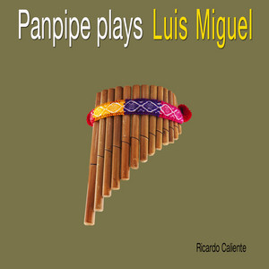 Panpipe Plays Luis Miguel cover
