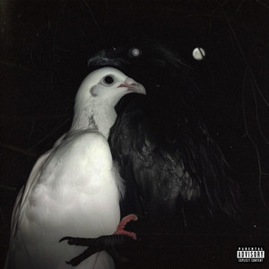 Can't Let Go by Forty