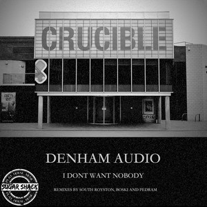 I Don't Want Nobody - Original Mix by Denham Audio