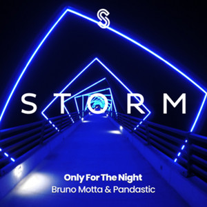 Only for the Night by Bruno Motta, Pandastic