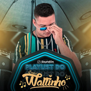 Mc Waltinho - Vapo Vapo - Flamengo