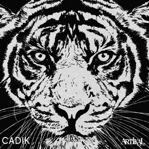 Tiger Heart by Cadik