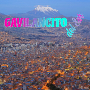 Gavilancito del Sur - Pariguanita