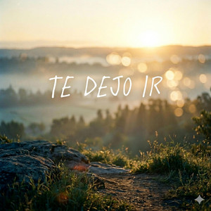 te dejo ir by alex la melodia