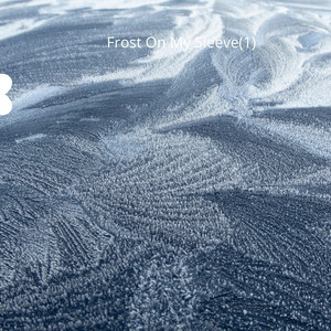 Frost On My Sleeve(1) by Eli Jordan One