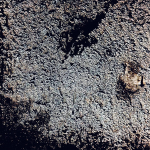 Shikakujikato - Trap misc