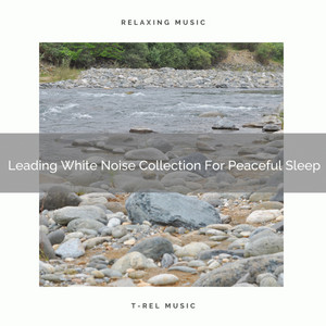 Leading White Noise Collection For Peaceful Sleep album