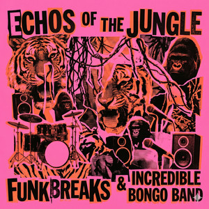 Bongo Rock - Album by Incredible Bongo Band | Spotify