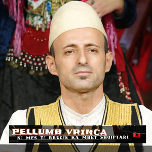 Pellumb Vrinca - Në mes të rrugës ka mbet shqiptari