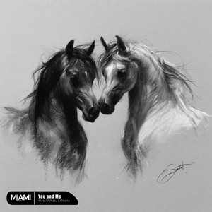 You and Me by Hamidshax, Zelnara