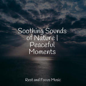 Soothing Sounds of Nature | Peaceful Moments album