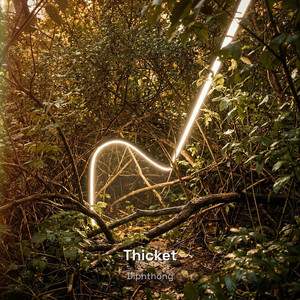 Thicket by Diphthong
