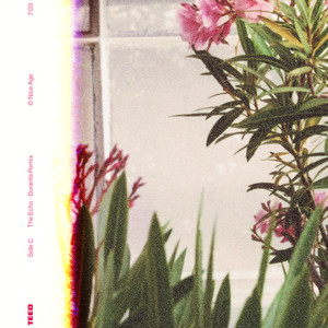 The Echo (Durante Remix) cover art