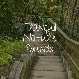 Tranquil Nature Sounds album