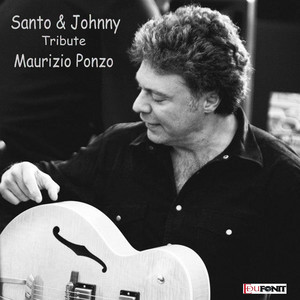 Maurizio Ponzo