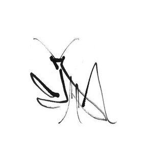 mantis by estella!