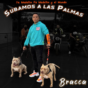 Subamos a las Palmas