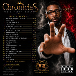 I've already seen us by Nelly Vee