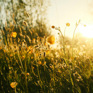 Reminiscing by jeppa.