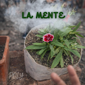 La mente by POLY