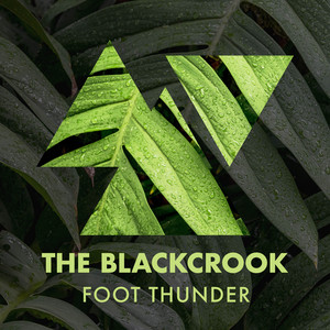 The Blackcrook Foot Thunder album