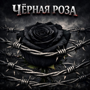 Чёрная роза by Rafs Perfume