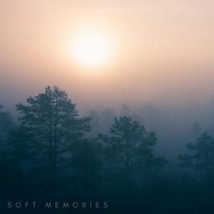 Soft memories