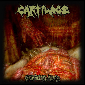 A Lymphatic Labyrinth of Roiling Rot by Cartilage