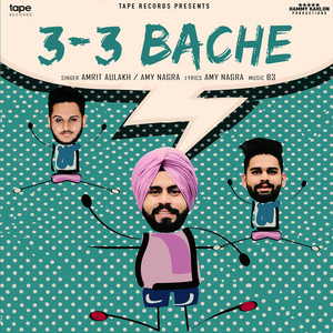 3-3 Bache