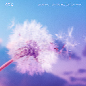 Subtle Gravity by stillgrove
