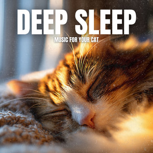 Number One Music for Quiet Kittens ‑ 曲・歌詞：Cat Music Dreams