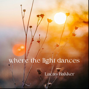 where the light dances by Lucas Bakker