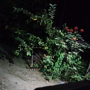 Ndong Fernadest - High Hopes