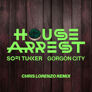 House Arrest (Chris Lorenzo Remix) by Chris Lorenzo cover art