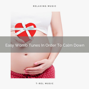 Easy Womb Tunes In Order To Calm Down album