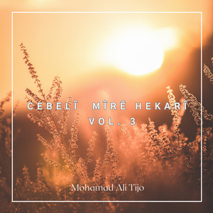 Mohamad Ali Tijo - Cebelî Mîrê Hekarî, Vol. 3