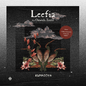 Nagomi - MiRET Remix by Leefia, MiRET