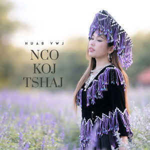 Huab vwj - Nco koj tshaj (feat. Koob Meej Thoj)