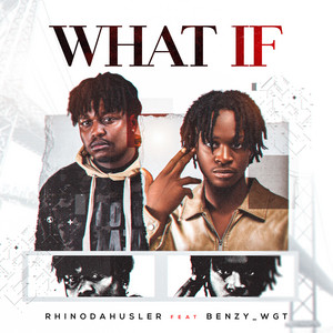 What If by Rhinodahustler, Benzy_wgt