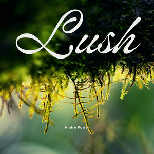Lush by Andre Power