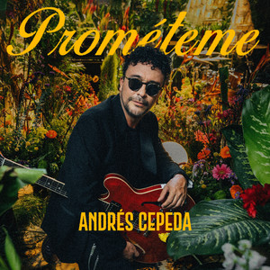 Andrés Cepeda - Prométeme