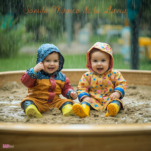 Sonido Mágico De La Lluvia