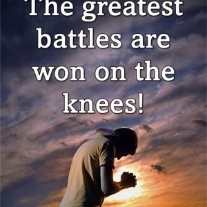 World hive - Uira wa uhotani