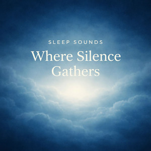Where Silence Gathers