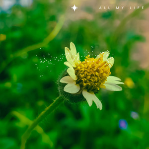 All My Life