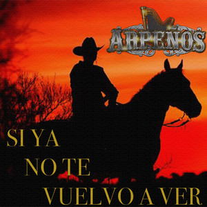 Si Ya No Te Vuelvo A Ver